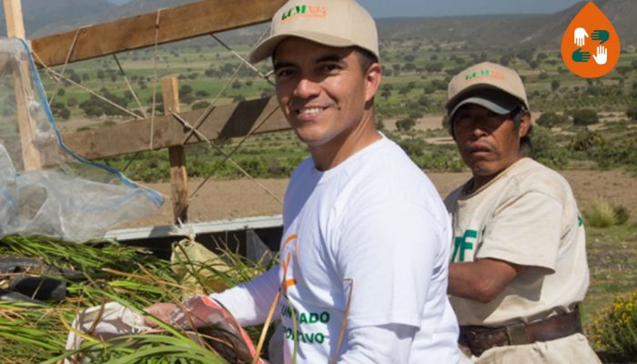 ¡Voluntarios en acción! Voluntariado corporativo de Granjas Carroll de México