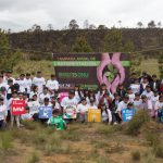 Campaña Reforestación
